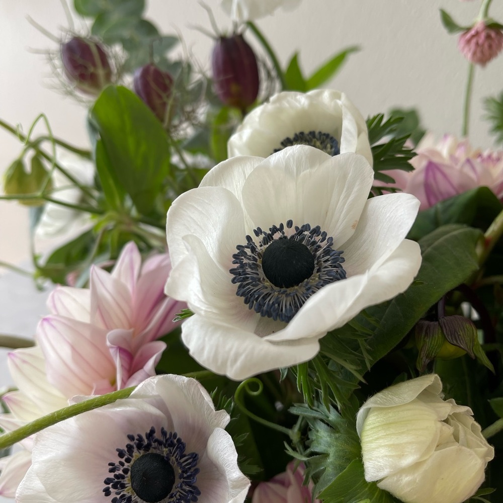 Meet your Posher, Tina